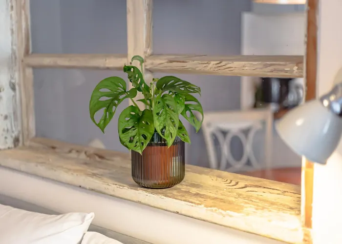 Mieszkanie W Centrum דירה